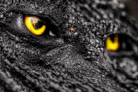 a stunning beautiful detailed photo of a black dragon with amber eyes -s75 -b1 -W768 -H512 -C7.5 -Ak_heun -S809164731
